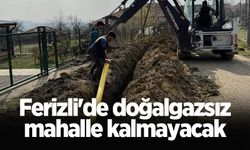 Ferizli'de doğalgazsız mahalle kalmayacak