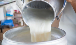 TÜSEDAD sütü ucuza almak isteyen sanayicilere karşı uyardı
