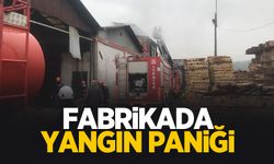 Orman ürünleri fabrikasında korkutan yangın