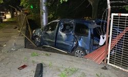 Kocaeli'de hafif ticari araç ağaca çarptı: 1 yaralı