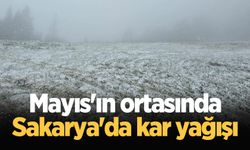 Mayıs'ın ortasında Sakarya'da kar yağışı