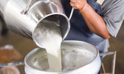 Çiğ süt üretimi 6 yılın en düşük seviyesinde