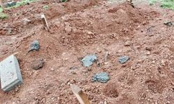 Karasu'da 'inekler mezarlarımızı çiğniyor' şikayeti
