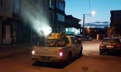 Ferizli Belediyesi’nden sivrisinek ve haşerelere karşı etkin mücadele
