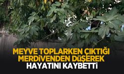 Meyve toplarken canından oldu