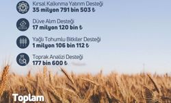 Tarım ve Orman Bakanlığı: “119,1 milyon liralık tarımsal destek ödemesi hesaplara aktarıldı”