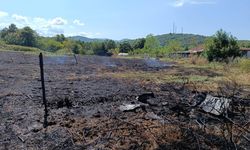 Yalova’da iki noktada çıkan orman yangınları ile ilgili savcılık soruşturma başlattı