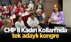 CHP İl Kadın Kolları'nda tek adaylı kongre