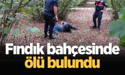 Bir kişi fındık bahçesinde ölü bulundu