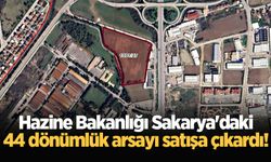 Hazine Bakanlığı Sakarya'daki 44 dönümlük arsayı satışa çıkardı!