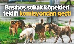 Başıboş sokak köpekleri teklifi komisyondan geçti