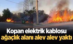 Kopan elektrik kablosu ağaçlık alanı alev alev yaktı