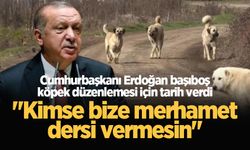 Cumhurbaşkanı Erdoğan başıboş köpek düzenlemesi için tarih verdi: Kimse bize merhamet dersi vermesin