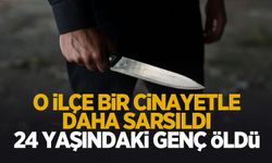 Hendek'te cinayet