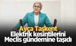 Ayça Taşkent Sakarya'daki elektrik kesintilerini meclis gündemine taşıdı