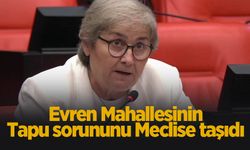 Evrenköy'ün tapu sorununu meclise taşıdı