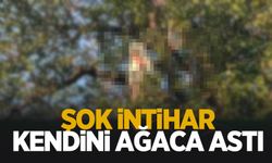 Şok intihar: Kendini ağaca astı