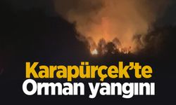 Sakarya'da orman yangını