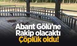 Abant Gölü’ne rakip olacaktı çöplük oldu!