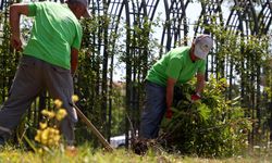 Sakarya’nın her köşesi Büyükşehirle güzelleşiyor