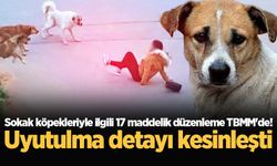 Sokak köpekleriyle ilgili 17 maddelik düzenleme TBMM'de! Uyutulma detayı kesinleşti