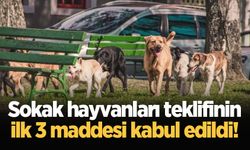 Sokak hayvanları teklifinin ilk 3 maddesi kabul edildi!