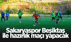 Sakaryaspor ve Beşiktaş hazırlık maçı yapacak