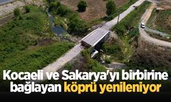 Kocaeli ve Sakarya'yı birbirine bağlayan köprü yenileniyor