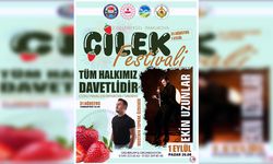 Çileğin ana vatanı Pamukova'da çilek tadında festival! 2 gün sürecek