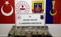 Kocaeli'de 2 araçta 23 kilo bonzai ele geçirildi