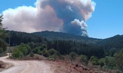 Bolu’da 2 ilçe arasında orman yangını başladı: Dumanlar gökyüzünü kapladı