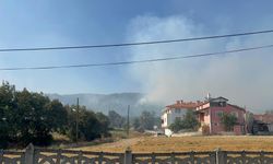 Bolu'da 12 farklı noktadaki yangın 3'e indirildi