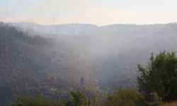 Ankara-Bolu sınırındaki yangına günün ilk ışıklarıyla havadan müdahale başladı