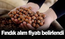 Fındık alım fiyatı belirlendi