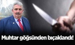 Karasu'da muhtar göğsünden bıçaklandı!