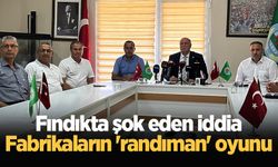 Fındıkta şok eden iddia: Fabrikaların 'randıman' oyunu