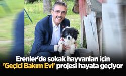 Erenler'de sokak hayvanları için 'Geçici Bakım Evi' projesi hayata geçiyor