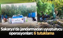 Sakarya'da jandarmadan uyuşturucu operasyonları: 6 tutuklama