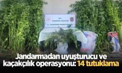 Jandarmadan uyuşturucu ve kaçakçılık operasyonu: 14 tutuklama