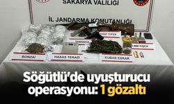 Söğütlü'de uyuşturucu operasyonu: 1 gözaltı