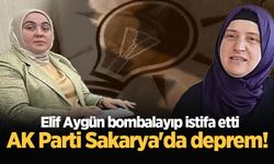 AK Parti Sakarya'da deprem! Elif Aygün bombalayıp istifa etti