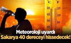 Meteoroloji uyardı: Sakarya 40 dereceyi hissedecek!