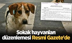 Sokak hayvanları düzenlemesi Resmi Gazete'de