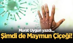 Şimdi de Maymun Çiçeği..!