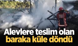 Akyazı'da alevlere teslim olan baraka küle döndü