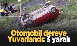 Otomobil dereye yuvarlandı: 3 yaralı