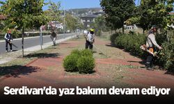 Serdivan'da yaz bakımı devam ediyor