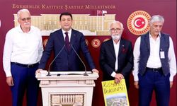 DEVA Partisi meclisten seslendi: "Kırsal mahalle için neyi bekliyorsunuz"