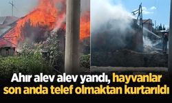 Ahır alev alev yandı, hayvanlar son anda telef olmaktan kurtarıldı