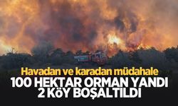 100 hektarı kül eden orman yangını sürüyor